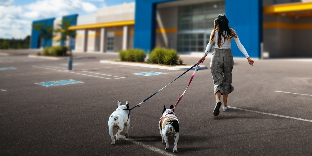 Recognizing and Understanding the Early Adopters of Walmart Veterinary Services